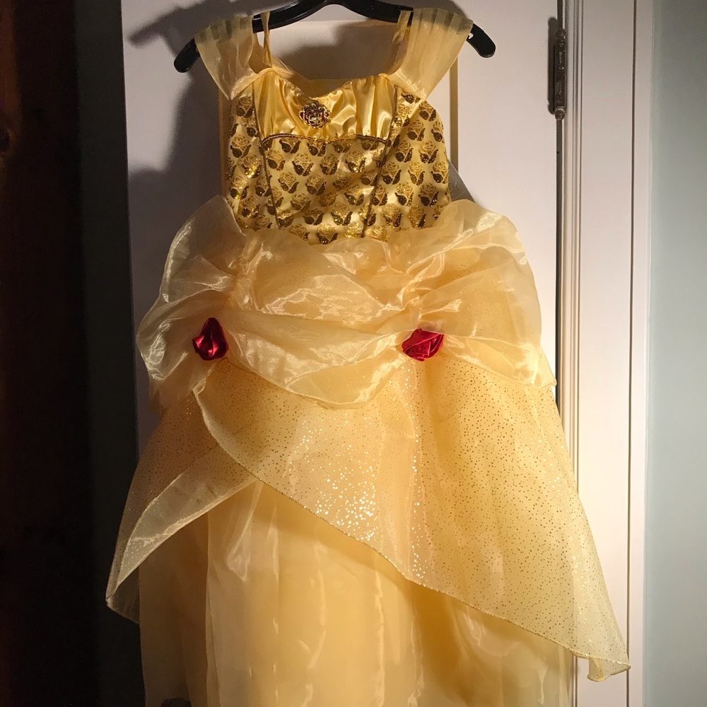 Belle Disney dress!